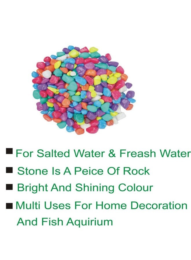 Somil Multicolor Pebbles/Stones for Garden, Plants, Lawns, Aquariums, Fish Pots, Home Decor, Vases, Furniture Filler. Size: 10-30mm, Shiny Multicolor -A285 - Image 2